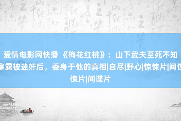 爱情电影网快播 《梅花红桃》：山下武夫至死不知，寒露被迷奸后，委身于他的真相|自尽|野心|惊悚片|间谍片